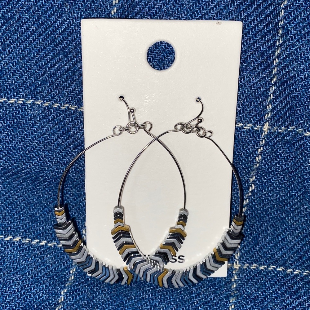 NWOT Express Earrings